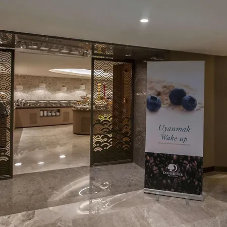 酒店 - 锡尔凯吉希尔顿逸林酒店 伊斯坦布尔